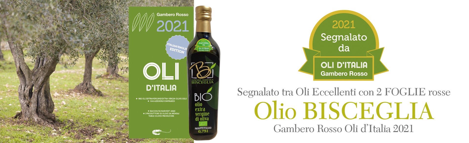 Caraffa in ceramica e Olio EVO 250ml Box Regalo - Azienda Agricola Bisceglia